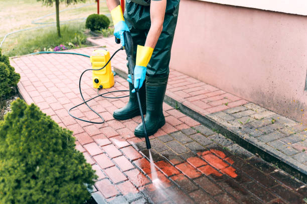 Best Restaurant Pressure Washing  in South Monroe, MI