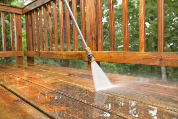 Best Gutter Cleaning  in South Monroe, MI